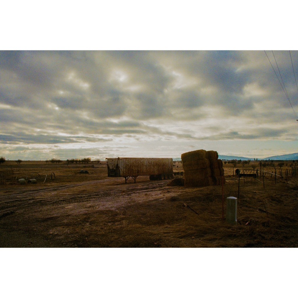 The Reject Pile:&nbsp;Split-Pea